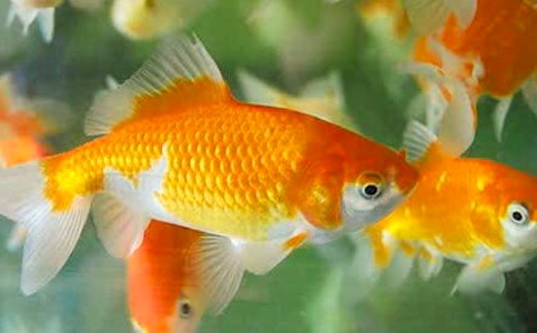 �а��������������ν̰�