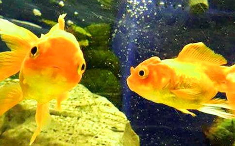 С������������