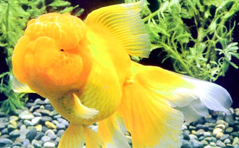 �а�����������Ľ̰�