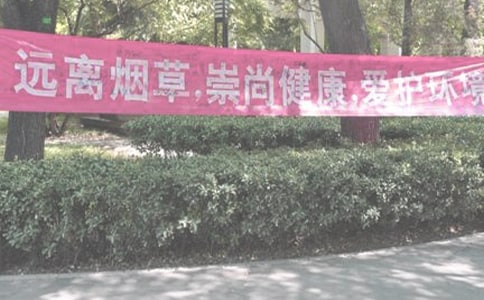 ���ڽ��̵ĳ�ŵ��