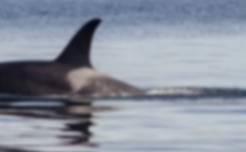 �������������13ƪ