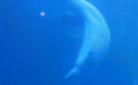 ��д����ľ���