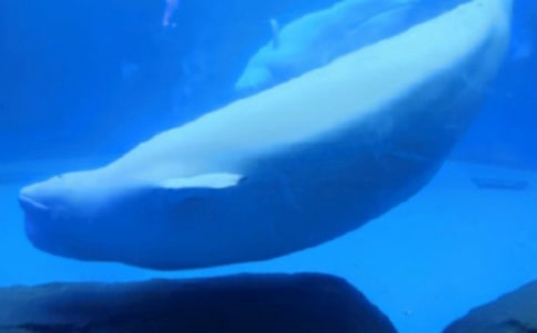 ������������