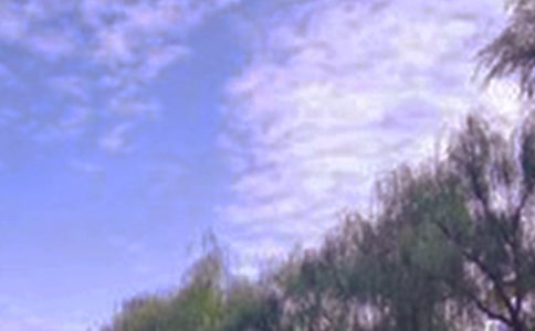 ������ɫ���������ģ�ͨ��30ƪ��