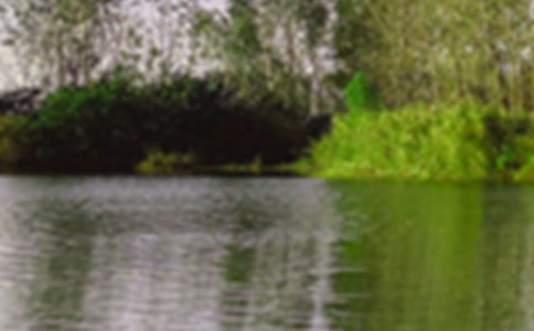 ���㾰ɫ����