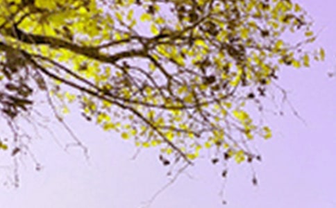 Сѧ����ɫ���Ļ����ƪ