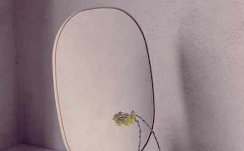 ���澵�ӣ��÷�չ���۹�����ѧ��