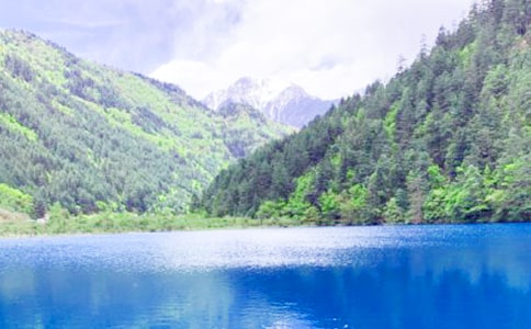 ��կ������Сѧ������300�֣���ѡ3ƪ��