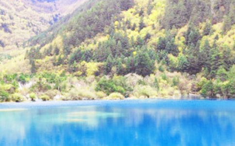 ��կ����������