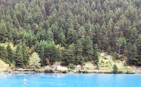 ��կ�����ġ����š�