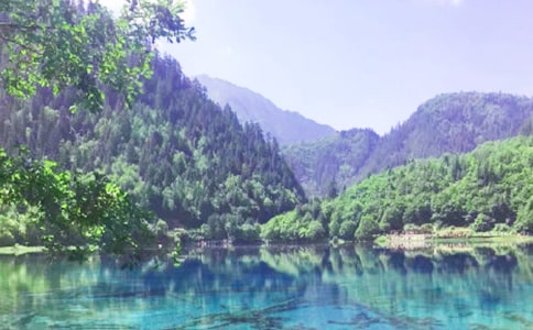 д��կ��������