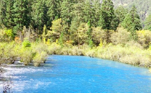 ��կ�����ģ�ʵ�ã�