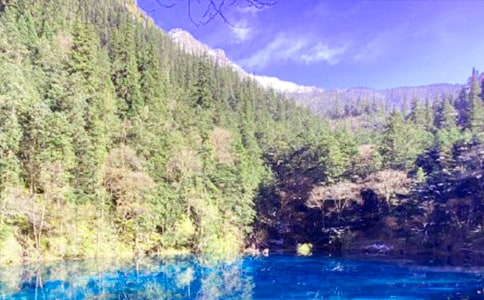 2020��կ������Сѧ�����ģ���ѡ3ƪ��