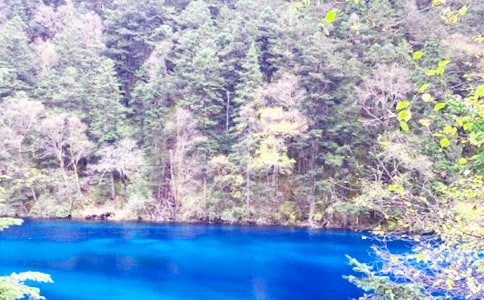 ��կ�����ġ�����