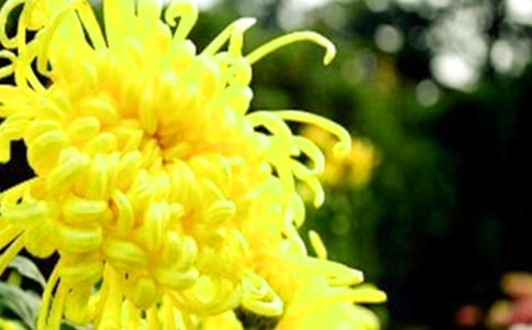 �ջ���������15ƪ������