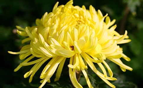 �ջ��۲��ռ�