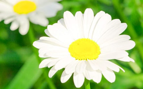 ���ջ��Ĵ�������̰�