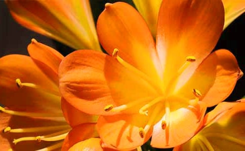 д�����������������Ƽ�