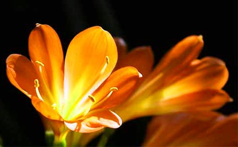 ��д������������