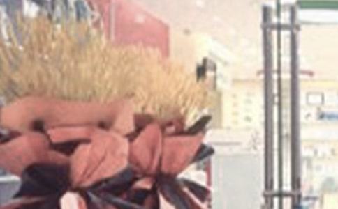 �µ꿪ҵ�����ƻ�