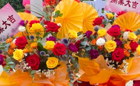 ���꿪��������