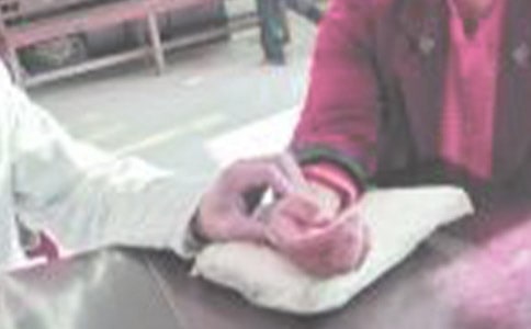 ���򿴲����ľ��䡾14ƪ��