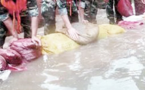 ��Ѵ����׼�������Լ��Բ鱨��