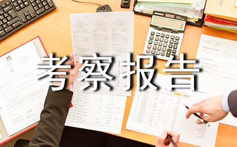 ��Ŀ���챨��(15ƪ)