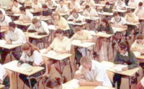 ѧ�����п��Ը����ܽ�7ƪ