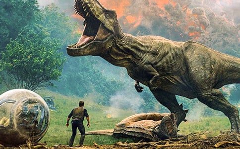 ����԰��������