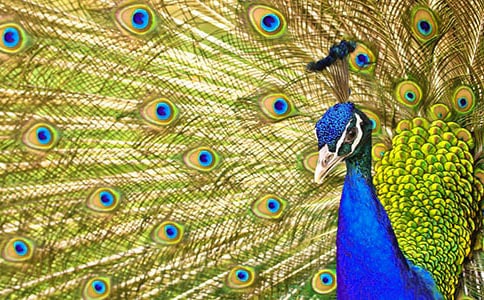 �а������̰������Ŀ�ȸ8ƪ