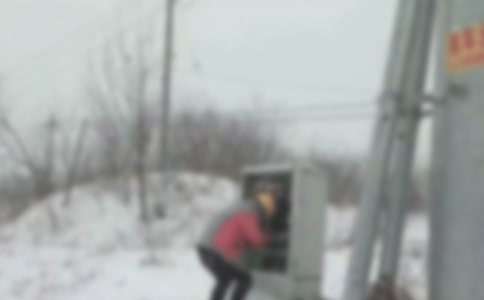 ������ά����������˹����ܽ�