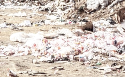 ��ũ���������ι�������㱨 