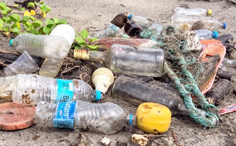 ũ�������������ι�������㱨