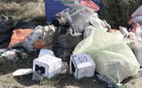 ����ũ����������������������ķ����㱨���ģ�ͨ��12ƪ��