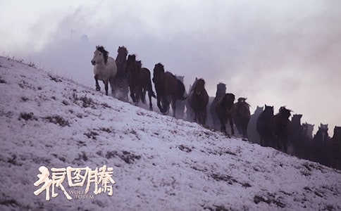 ��ͼ�ھ�����¼