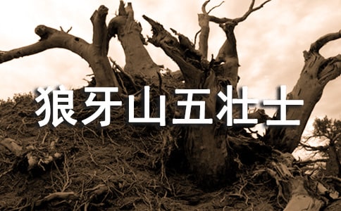 15������ɽ��׳ʿ��