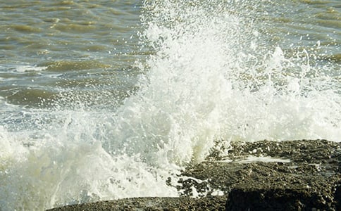 那朵美丽的浪花作文