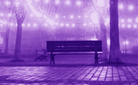 ���������顾����