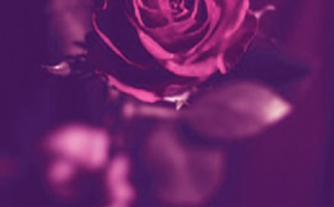 �������۸������