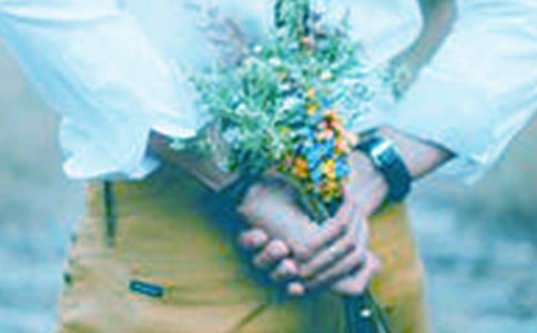 ����������(����15ƪ)