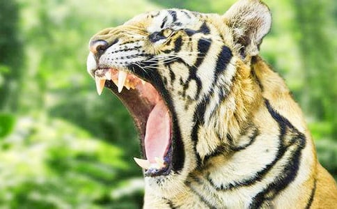 ���ڴ����ϻ�̲���Ļ���ʮƪ