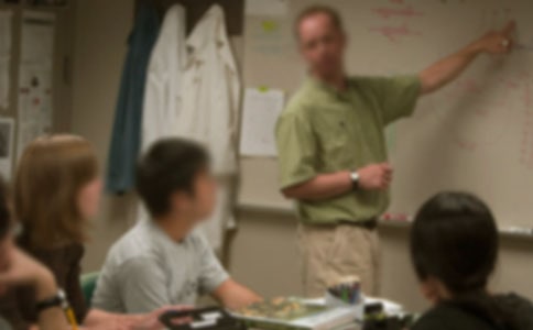 ����ʦ�ı�֤��ʵ��15ƪ