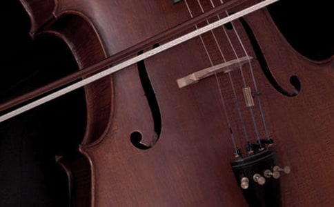 �������������