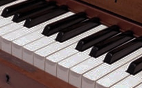 �������������15ƪ