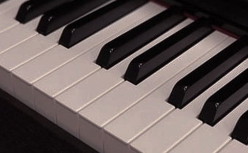 ������������ľ�Ʒ��15ƪ��