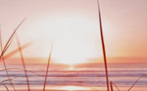 �������������ģ���������������