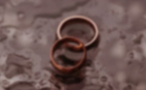 ���Ʋ��ָ�Э����