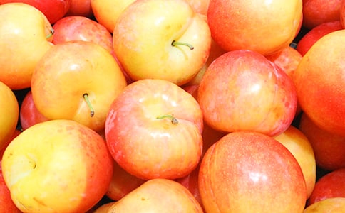 《李子核》第二课时