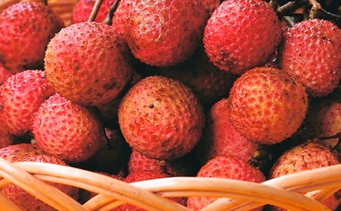 ������������֦����ʫ������